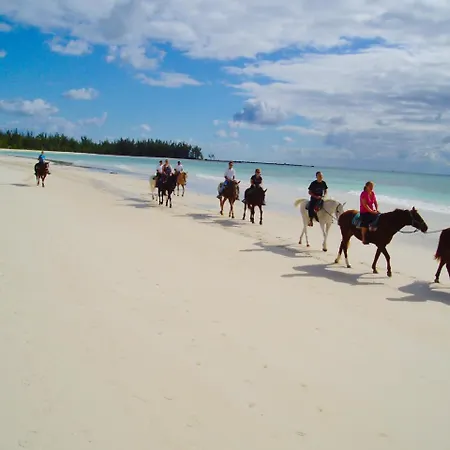 Coral Beach Freeport Paradise Hotel